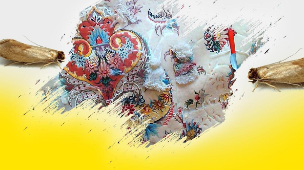 روشهای از بین بردن بید فرش